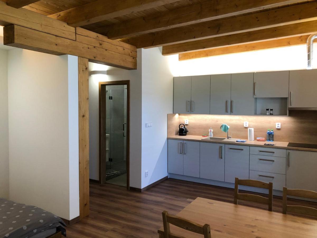 Anico Apartmany Dolni Benesov Buitenkant foto
