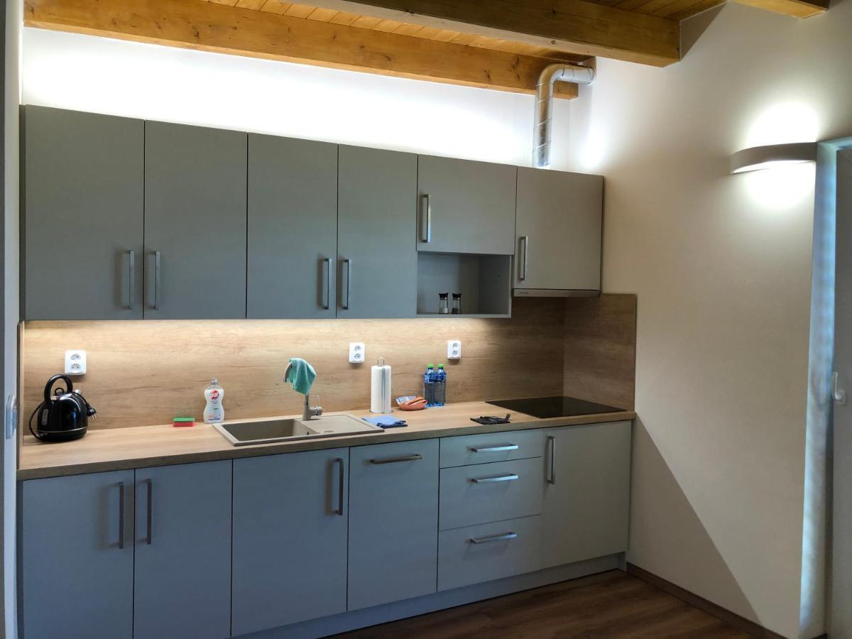 Anico Apartmany Dolni Benesov Buitenkant foto