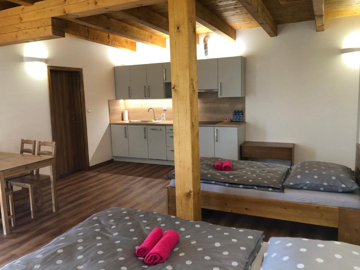 Anico Apartmany Dolni Benesov Buitenkant foto