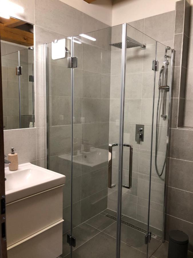 Anico Apartmany Dolni Benesov Buitenkant foto
