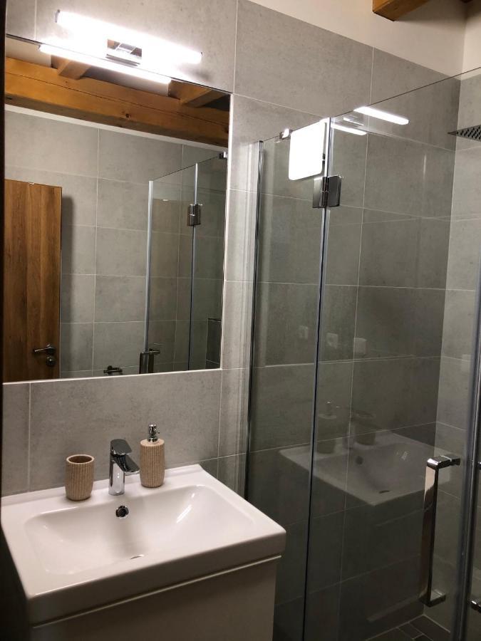 Anico Apartmany Dolni Benesov Buitenkant foto