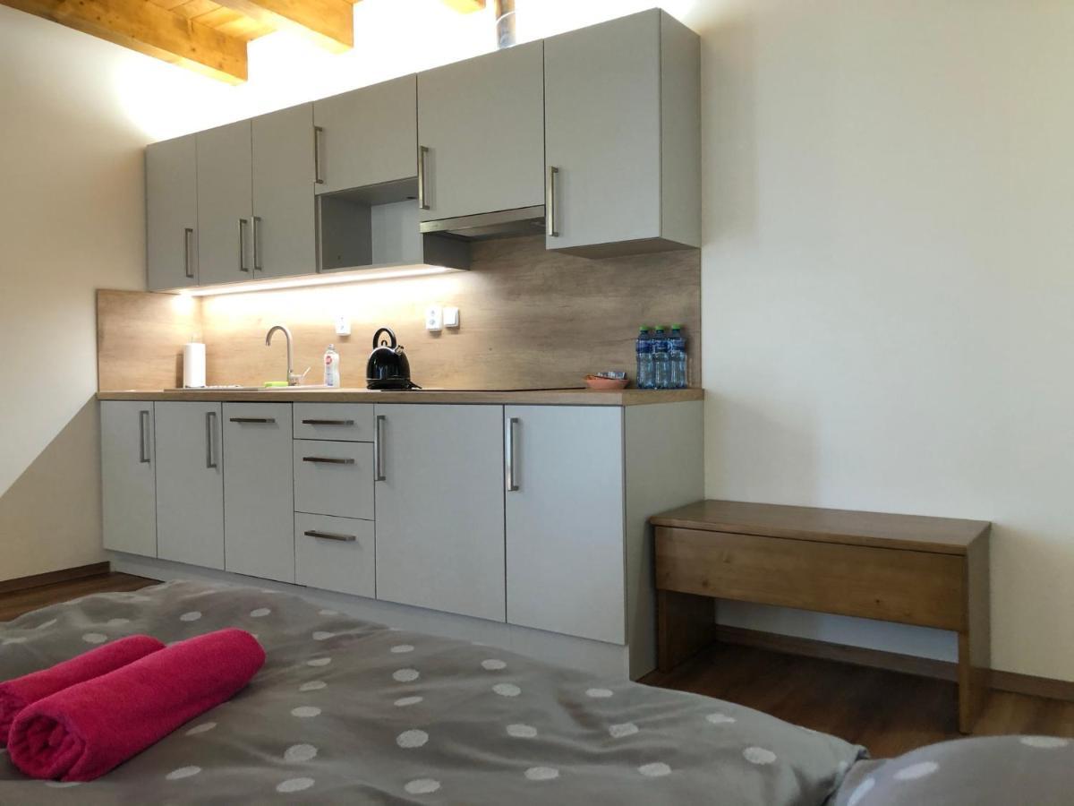 Anico Apartmany Dolni Benesov Buitenkant foto