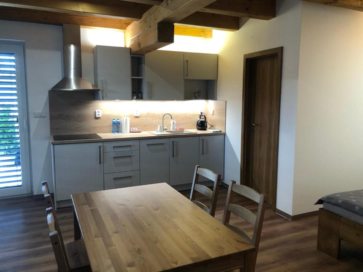 Anico Apartmany Dolni Benesov Buitenkant foto