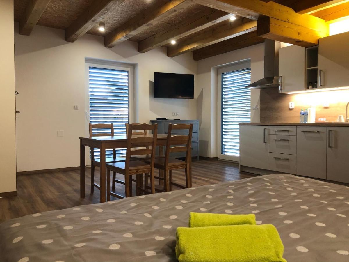 Anico Apartmany Dolni Benesov Buitenkant foto