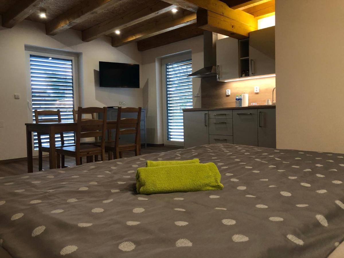 Anico Apartmany Dolni Benesov Buitenkant foto