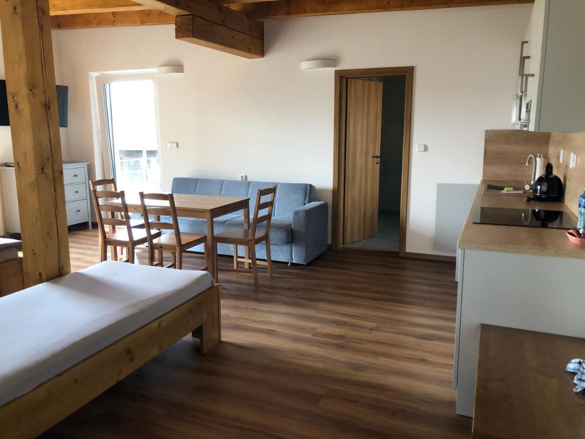 Anico Apartmany Dolni Benesov Buitenkant foto