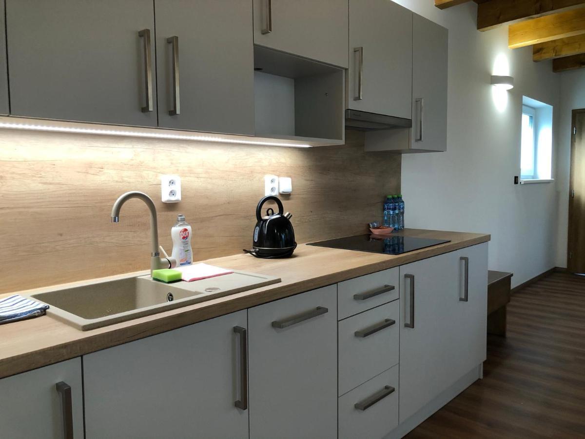 Anico Apartmany Dolni Benesov Buitenkant foto