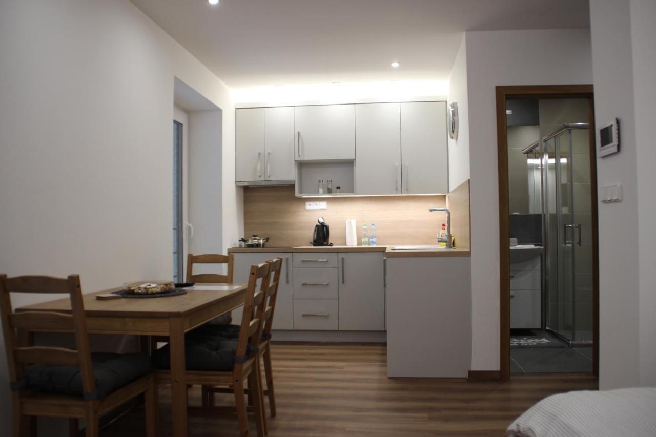 Anico Apartmany Dolni Benesov Buitenkant foto
