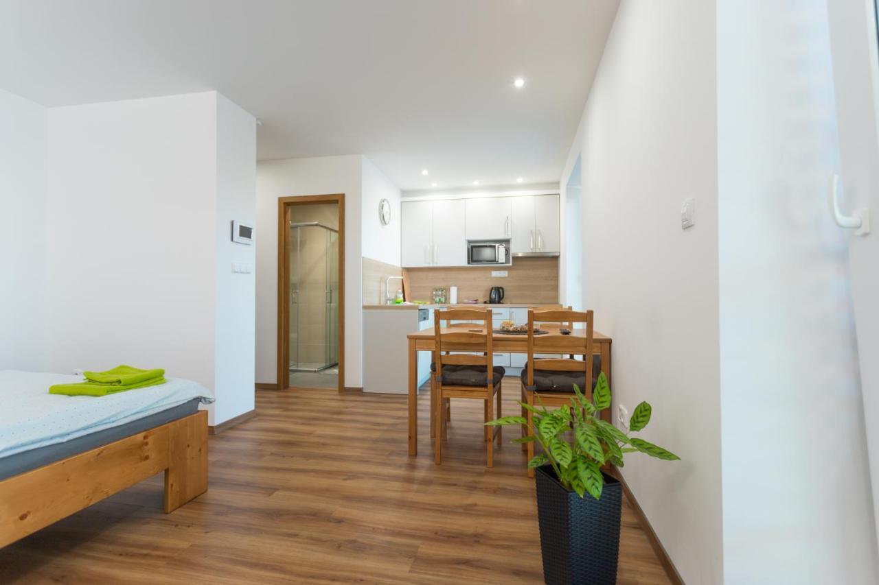 Anico Apartmany Dolni Benesov Buitenkant foto