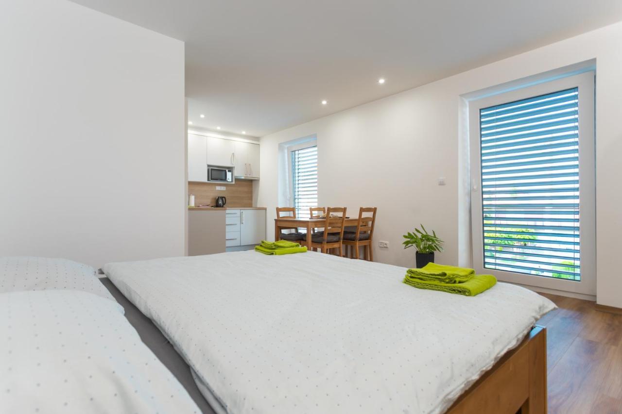 Anico Apartmany Dolni Benesov Buitenkant foto